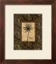 Vintage Palm Ii by Charlene Audrey Limited Edition Pricing Art Print