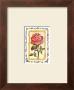 Mini Flower I by Charlene Winter Olson Limited Edition Pricing Art Print