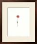 Techno Flower V by Deborah Bookman Limited Edition Pricing Art Print