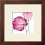 Flowers Symphony Iv by Celeste Limited Edition Print