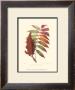 Smooth Sumac by Sprague Limited Edition Pricing Art Print
