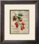 Les Tomates Cerises by Silvia Vassileva Limited Edition Pricing Art Print