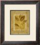 Golden Glow Leaf I by Lanie Loreth Limited Edition Pricing Art Print