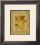 Golden Glow Leaf I by Lanie Loreth Limited Edition Print