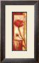 Red Hot by Dagmar Zupan Limited Edition Pricing Art Print