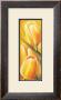 Tulipes De Soleil by Valerie Delmas Limited Edition Pricing Art Print
