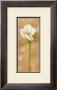 White Flower by Mar Alonso Limited Edition Print