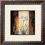 Amaryllis by Jill Deveraux Limited Edition Print