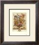 Twelve Months Of Flowers, 1730, April by Robert Furber Limited Edition Print