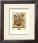 Twelve Months Of Flowers, 1730, April by Robert Furber Limited Edition Print