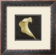 The Perfect Touch Iii by Patricia Quintero-Pinto Limited Edition Print