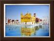 Golden Temple by Sukhpal Grewal Limited Edition Pricing Art Print