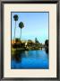 Two Palm Trees In The Sky by Jack Heinz Limited Edition Pricing Art Print