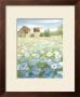 Blue Meadow by Megan Meagher Limited Edition Print