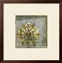 Rosette And Damask I by Jennifer Goldberger Limited Edition Pricing Art Print