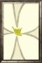 Untitled, C.2005 by Nicolas Le Beuan Benic Limited Edition Print