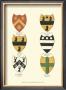 Coat Of Arms Ii by Catton Limited Edition Pricing Art Print