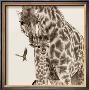 Precious Moments Iv by Susann & Frank Parker Limited Edition Pricing Art Print