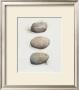 Field Study Stone by Jurgen Gottschlag Limited Edition Print