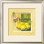 Citrus Field by Franz Heigl Limited Edition Print
