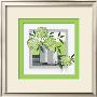 Green Harmony by Claudia Ancilotti Limited Edition Print