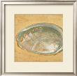 Shoreline Shells Iii by Lorraine Vail Limited Edition Pricing Art Print