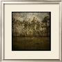 A Line Of Pines by John Golden Limited Edition Print