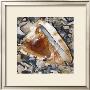 Shell Study Iv by Nick Biscardi Limited Edition Print