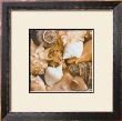 Beachside Shells by Boyce Watt Limited Edition Print