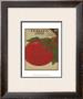 Heirloom Variety V by Jarman Fagalde Limited Edition Pricing Art Print