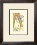 Orchid Plenty V by Samuel Curtis Limited Edition Print