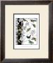 Aviary I by Chariklia Zarris Limited Edition Pricing Art Print