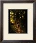 A Faerie Comfort by Joseph Corsentino Limited Edition Print