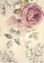 Ethereal Roses I by Stefania Ferri Limited Edition Print