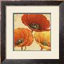 Poppy Spice Ii by Daphne Brissonnet Limited Edition Print