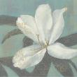 Open Blossom by Norman Wyatt Jr. Limited Edition Pricing Art Print