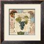 Wine Grapes I by Gillian Fullard Limited Edition Pricing Art Print
