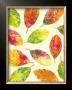 Vibrant Leaves Ii by Luisa Tosini Limited Edition Print