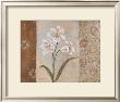 Lilies In The Mist by Janet Tava Limited Edition Pricing Art Print