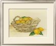 Basket Of Lemons by Klaus Gohlke Limited Edition Pricing Art Print