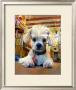 Mazel Dog by Robert Mcclintock Limited Edition Pricing Art Print