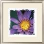 Flower Power Iv by Susann & Frank Parker Limited Edition Print