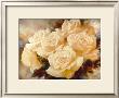 Champagne Roses by Igor Levashov Limited Edition Print