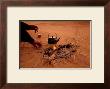 Bedouin Desert Breakfast, Jordon-Wadirum by Charles Glover Limited Edition Print