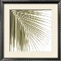Palm Study Vi by Studio El Collection Limited Edition Pricing Art Print