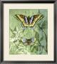 Embellished Vibrant Butterflies Ii by Jennifer Goldberger Limited Edition Print