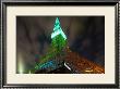 Tokyo Tower: St. Patrick's Day I by Takashi Kirita Limited Edition Pricing Art Print