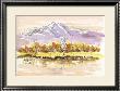 Late Autumn In Plateau by Kenji Fujimura Limited Edition Print