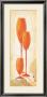 Vinum Ii by Tomasyn De Winter Limited Edition Pricing Art Print