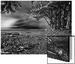 A.D. Pricing Limited Edition Prints
